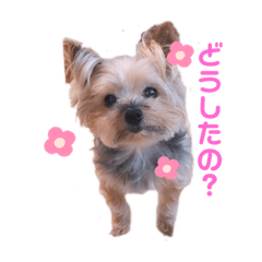 [LINEスタンプ] EVERYぽろん2
