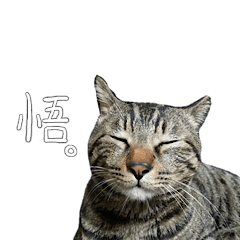 [LINEスタンプ] ににたんスタンプ。