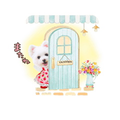 [LINEスタンプ] ポメマルさん家のしふぉんちゃん