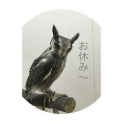 [LINEスタンプ] ゆるい生物スタンプ2〜