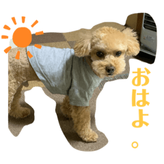 [LINEスタンプ] モカリングス 日常