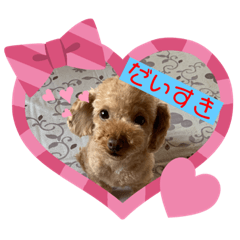 [LINEスタンプ] 晴明