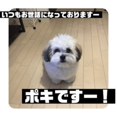 [LINEスタンプ] 働くポキです！