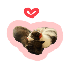 [LINEスタンプ] yuzurai
