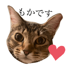 [LINEスタンプ] モカすたんぷ3