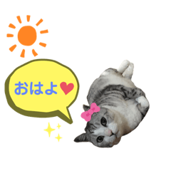 [LINEスタンプ] わたしミーコ♡