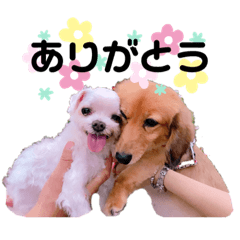 [LINEスタンプ] みるくとこころ仲良しスタンプ