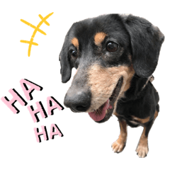 [LINEスタンプ] ティガくんの1日