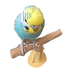[LINEスタンプ] ツンデレ背黄青レインボー