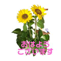 [LINEスタンプ] luck sen kid