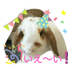 [LINEスタンプ] うさりおスタンプ2