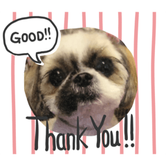 [LINEスタンプ] Bellとbell