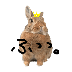 [LINEスタンプ] うさぎのひなちゃん