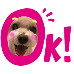 [LINEスタンプ] ちょらのすたんぷ