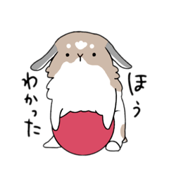 [LINEスタンプ] こはタイム 公開版