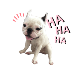 [LINEスタンプ] サラミー③