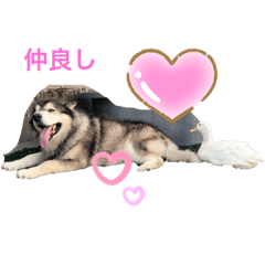 [LINEスタンプ] トンちゃん＆ガーちゃん
