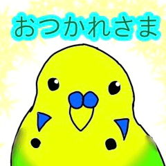 [LINEスタンプ] インコのイエローとチェリーとピーちゃん 