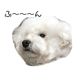 [LINEスタンプ] 大福きなこムウみかんのstamp