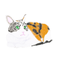 [LINEスタンプ] 三毛猫ミカたんからのメッセージ