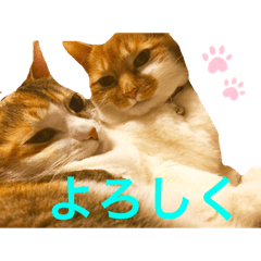 [LINEスタンプ] うみそらまる