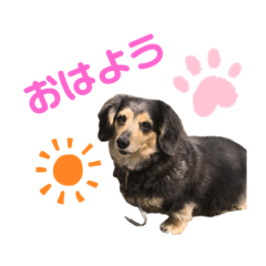 [LINEスタンプ] エアレンの常套句