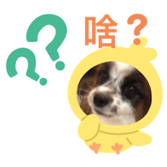 [LINEスタンプ] 我家的狗寶貝