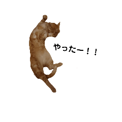 [LINEスタンプ] おてんばふくくん