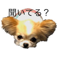 [LINEスタンプ] チビ＆ピノ2