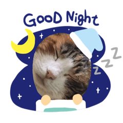 [LINEスタンプ] mike-20200625