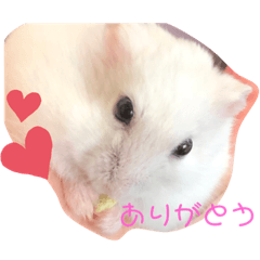 [LINEスタンプ] おもちのもっちもっちスタンプ2