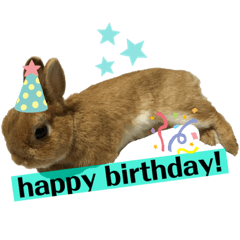 [LINEスタンプ] ピピの日常²