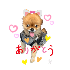 [LINEスタンプ] はーとっ子❤️
