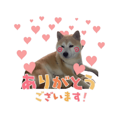 [LINEスタンプ] おぐりちゃんのスタンプ