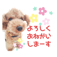 [LINEスタンプ] ポコすたんぷ#07