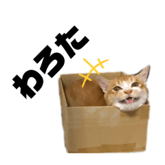 [LINEスタンプ] こげたん