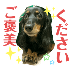 [LINEスタンプ] クウ♂＆ロビン♀