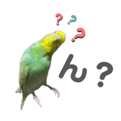 [LINEスタンプ] うぃったんスタンプ2
