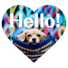 [LINEスタンプ] チワックス♡ゆず