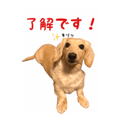 [LINEスタンプ] ケアたん2