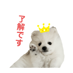 [LINEスタンプ] PUAちゃんすたんぷ
