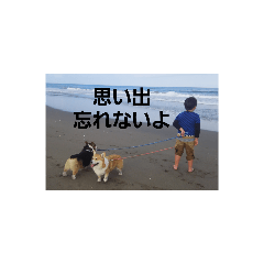 [LINEスタンプ] コーギー一家