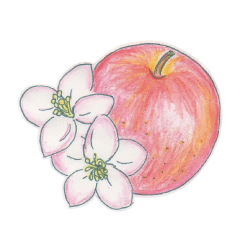 [LINEスタンプ] 簡単英語表現