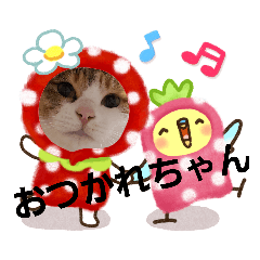 [LINEスタンプ] わらびちゃん8