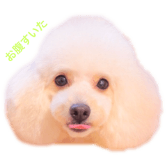 [LINEスタンプ] レタスくんのスタンプ2