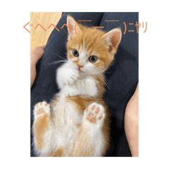 [LINEスタンプ] 山本の専用スタンプ