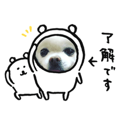 [LINEスタンプ] 白ポメのらなちゃん⑤