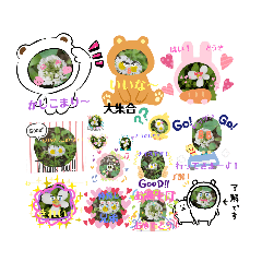 [LINEスタンプ] 色々なお花や植物