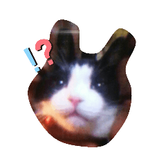 [LINEスタンプ] ロミオ＆