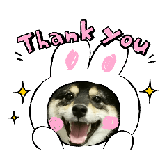 [LINEスタンプ] まめふくすたんぷ